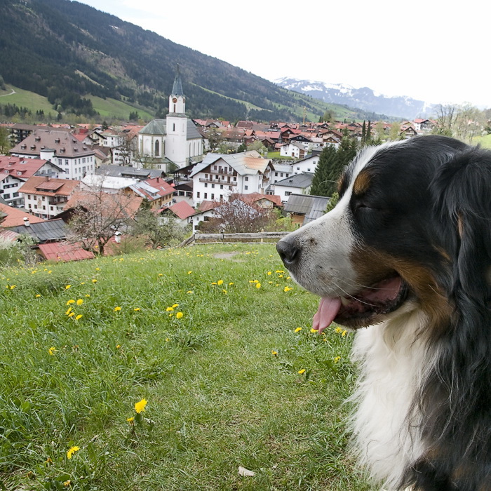 toskanaD35_6486 als Smart-Objekt-1 Kopie.jpg - Während einer Wanderung auf dem Höhenweg. Anton ist schon ein bisschen geschafft.